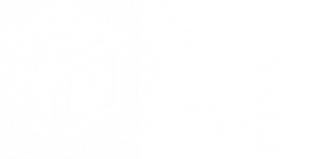 ndg-logo-fullwhite
